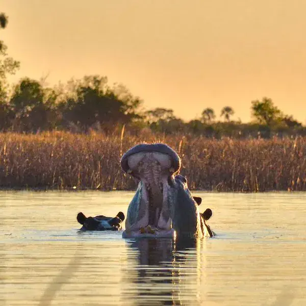 Zimbabwe & Southern Africa