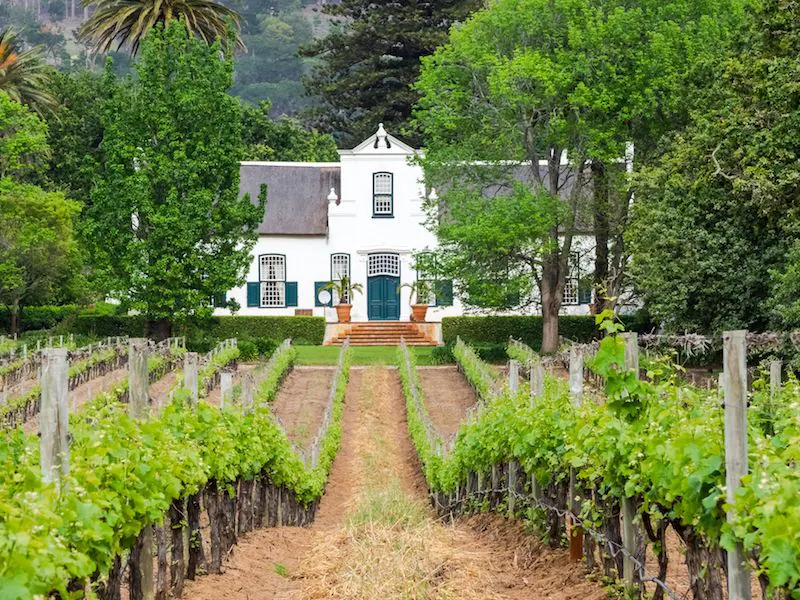 Cape Winelands