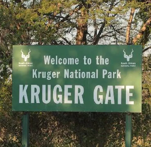 Best Time To Visit Kruger National Park Best Time To Visit Kruger National Park